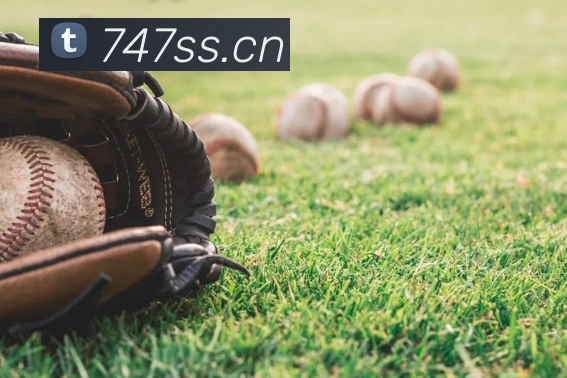 爱游戏ayx网页登录入口服务体系